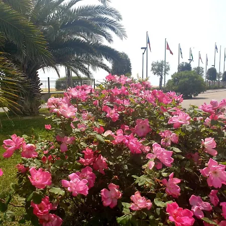 Zenith Bibione
