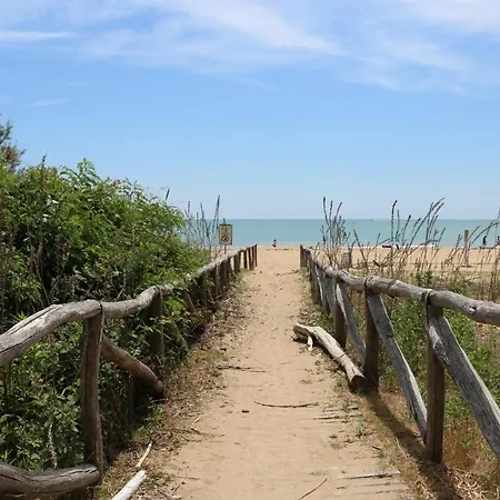 Zenith Bibione